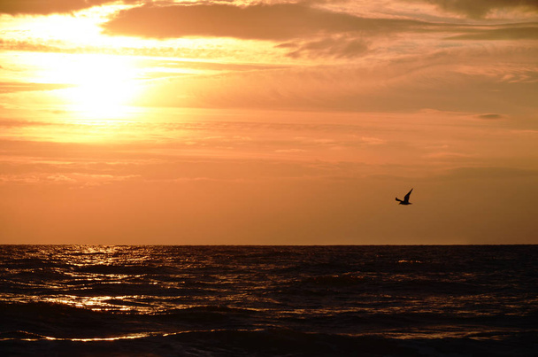Mar cielo nubes anaranjadas y gaviota volando sobre las olas hermosa naturaleza brillante puesta de sol
 - Foto, Imagen