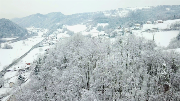 渓谷に小さな村がある。あちこちに雪がたくさん降っている。冬の時間だ航空写真. - 映像、動画