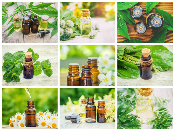 Collage de différentes photos d'extraits d'herbes. Homéopathie. Concentration sélective
. - Photo, image