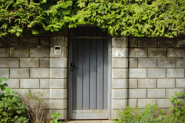 Szare ogrodzenie blokowe z zamkniętymi drzwiami z zielonymi listwami - Zdjęcie, obraz