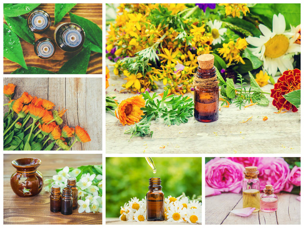 Collage de diferentes imágenes de extractos de hierbas. Homeopatía. Enfoque selectivo
. - Foto, Imagen