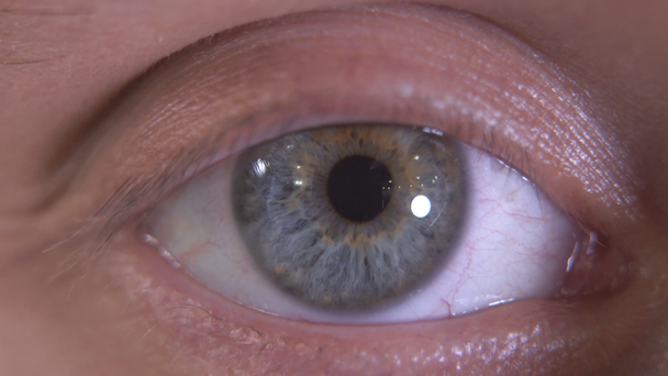 Nahaufnahme des schönen grauen Auges eines Menschen. Makro-Detailaufnahmen. der Typ, der langsam blinzelt und in die Kamera schaut - Filmmaterial, Video