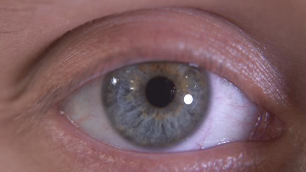 Close up of the beautiful gray eye of a human. Macro detailed shooting. The guy blinking slowly, looking in camera - Footage, Video