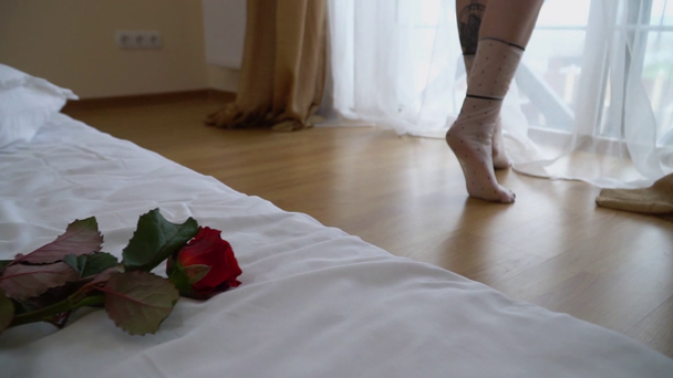 Κόκκινα τριαντάφυλλα είναι σε πρώτο πλάνο ξαπλωμένα στο κρεβάτι, βίντεο  - Πλάνα, βίντεο