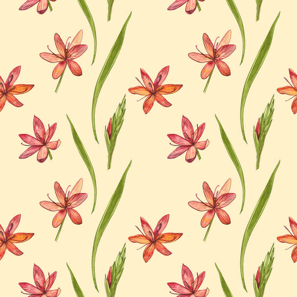 Kafir Lilies flowers. Seamless patterns. Collection of hand drawn flowers and plants. Botany. Set. Vintage flowers. Watercolor set of flowers and leaves, hand drawn floral illustration isolated on a - Foto, Imagen