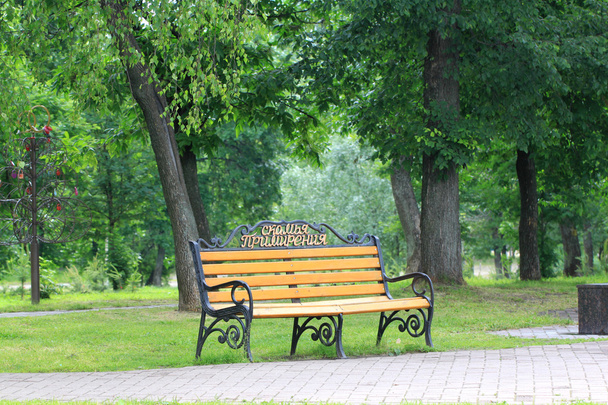 panchina nel parco - Foto, immagini