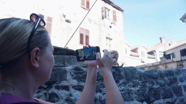 Κορίτσι, τουρίστας, παίρνει φωτογραφίες σε ένα κινητό τηλέφωνο, μια κόκκινη γάτα στην παλιά πόλη - Φωτογραφία, εικόνα