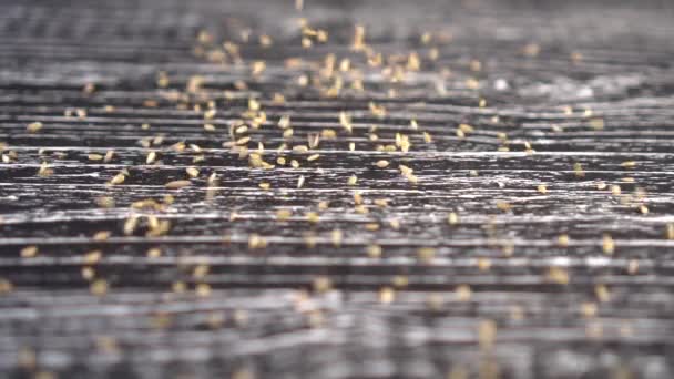 A handful of flax seeds fall on a black wooden surface. Slow motion, diet food concept - Metraje, vídeo