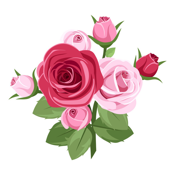 Red and pink roses. Vector illustration. - Vetor, Imagem