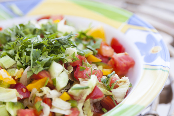 Green Salad - Photo, Image