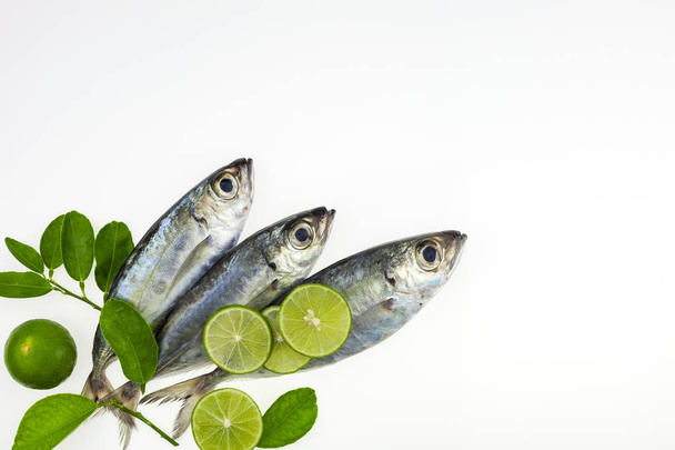 Fresh fish and lime isolated on a white background - Photo, Image