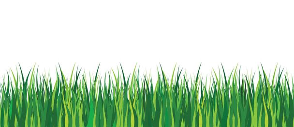 Ampia serie di bordi verdi freschi erba primaverile in lunghezze e densità per l'uso come elementi di design isolati su sfondo bianco. Illustrazioni vettoriali
 - Vettoriali, immagini