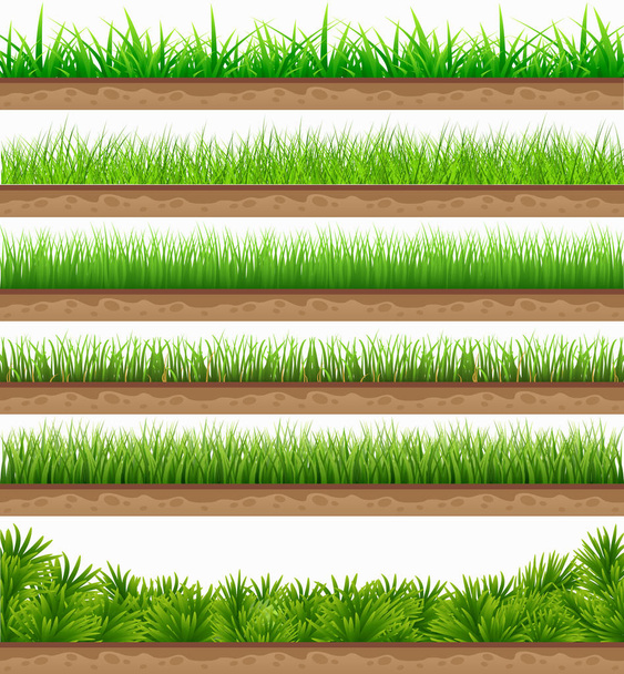 sada zelených travin s nádhernou přírodní zemí oddělenou od - Vektor, obrázek