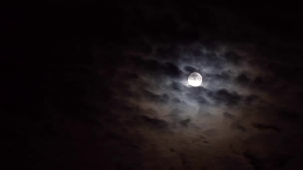 noční zatažené obloze se měsíc - Záběry, video