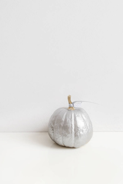 One silver pumpkin on white background - Фото, изображение