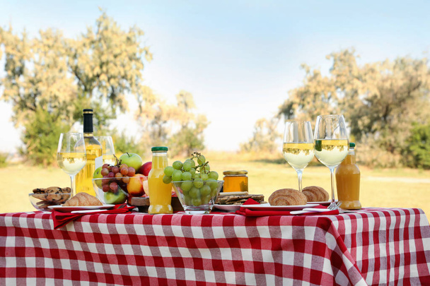 Picnic table with different tasty snacks and wine - Фото, изображение