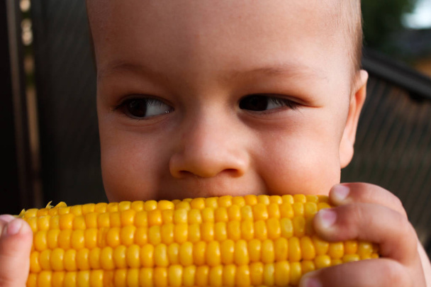 Small child eating buttered corn on the cob - Photo, Image
