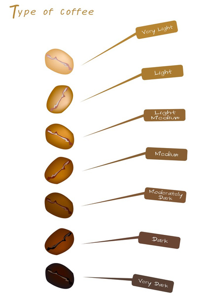 As várias cores de grãos de café torrados
 - Vetor, Imagem