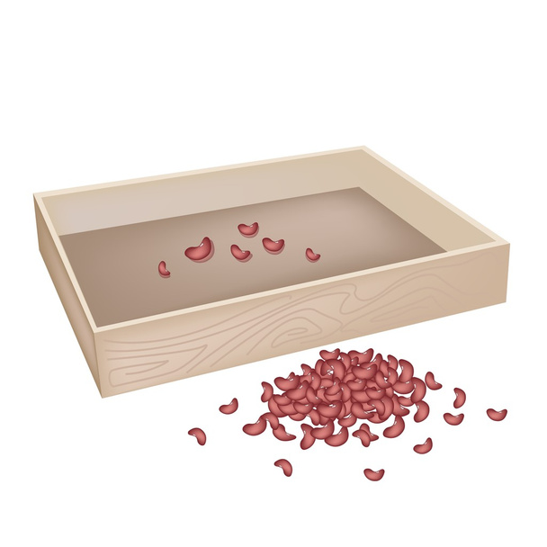 A Stack of Kidney Bean with Wooden Container - Vector, Image