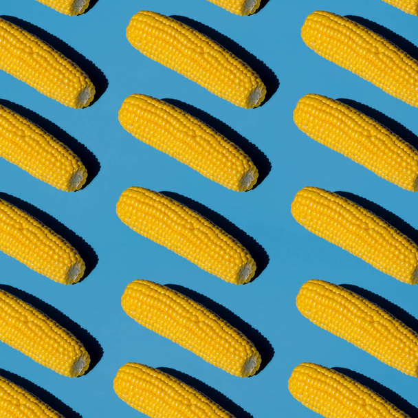 Patrón de cabezas de maíz peladas. Luces isométricas, y fondo azul claro pop. Comida sana concpet
 - Foto, Imagen