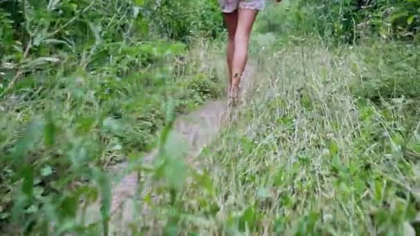 ブラウスとデニムショートパンツの裏側の女の子は、緑の森を通ってパスに沿って歩きます。スローモーション. - 映像、動画