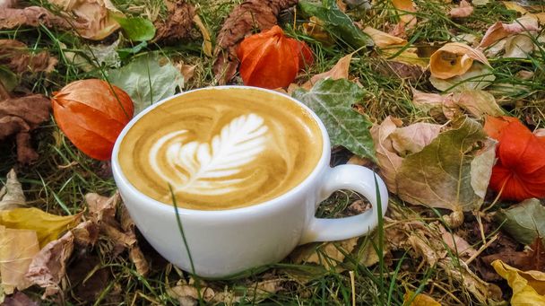 秋の草や落ちた黄色い葉の中にラテアートとカプチーノの白いセラミックカップ。朝と香りのコーヒー。ロゼット. - 写真・画像
