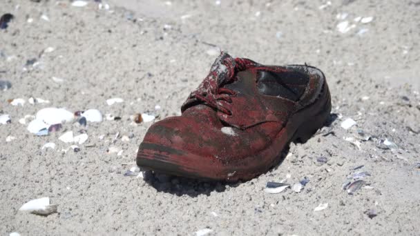 Old boot on the sandy seashore - Footage, Video