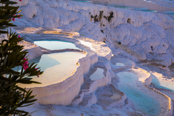Pamukkale tarasy basenowe w Hierapolis w Turcji - Zdjęcie, obraz