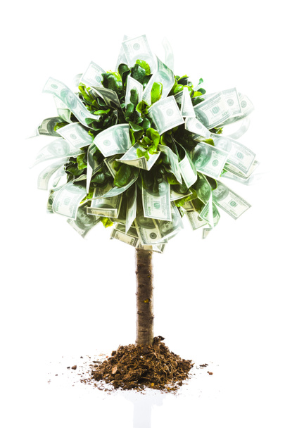 έννοια, δέντρο χρήματα στο γρασίδι απομονωθεί - Φωτογραφία, εικόνα