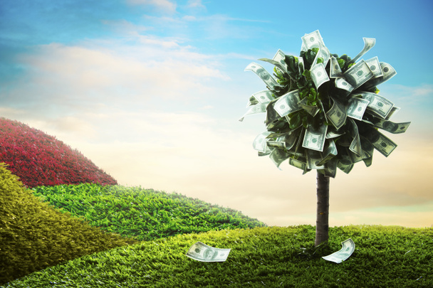 concept, money tree on grass - Photo, Image