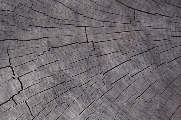 old dark wooden texture - Valokuva, kuva