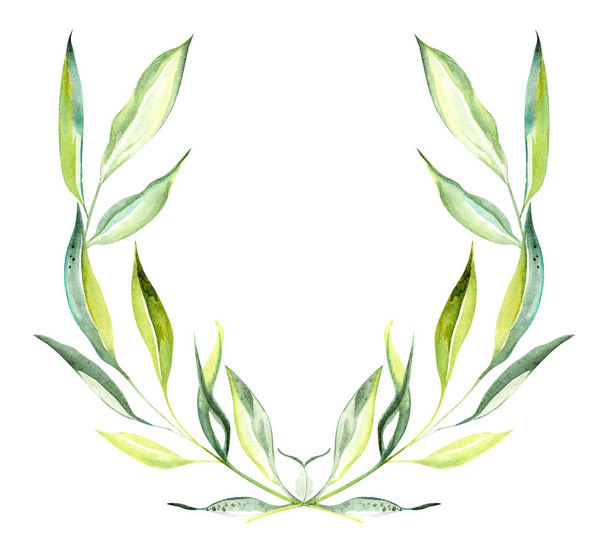Иллюстрация оливковой ветви в виде цветного цветочного венка с листьями, плодов прямоугольной формы на изолированном фоне
 - Фото, изображение