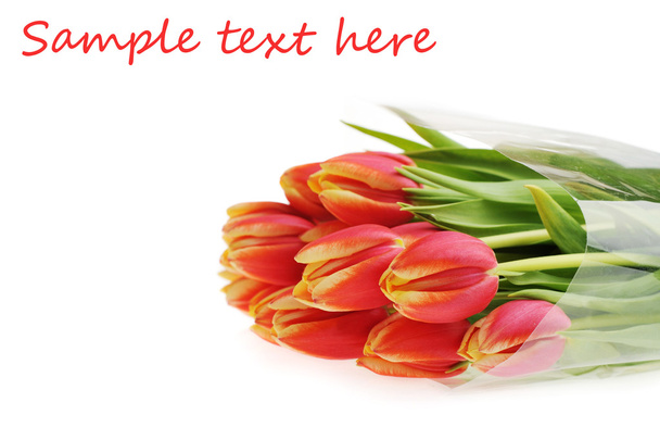 Red tulips - Фото, зображення