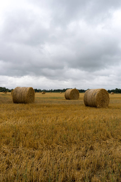 foin doré et balles de paille sur un grand champ agricole sous une overca
 - Photo, image