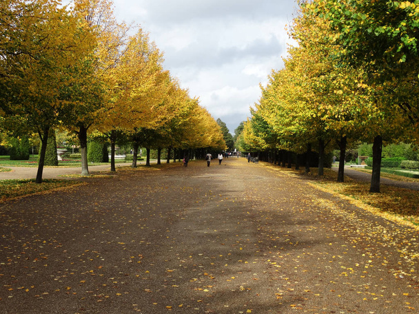 Zlatý podzim v Regentském parku, Londýn a Regents Park v podzimní sezóně - Fotografie, Obrázek
