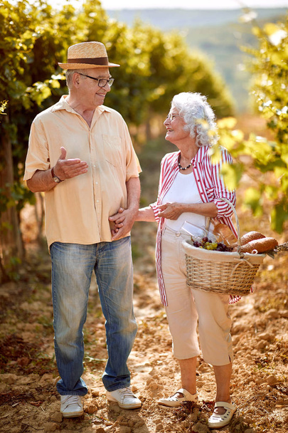 Family tradition - couple in vineyard celebrating harvesting grape - Φωτογραφία, εικόνα
