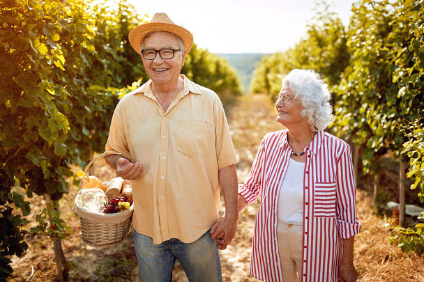 Senior winemakers walking in between rows of vine - Foto, Imagen