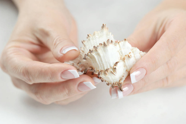 French manicure. In the frame are two female hands holding a white shell. Close-up. White background. - Фото, зображення