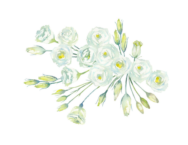 Eustoma. Lisianthus Rosita White. Ramo de flores y brotes blancos. Genciana de la pradera de la familia genciana. Ilustración en acuarela
 - Foto, imagen