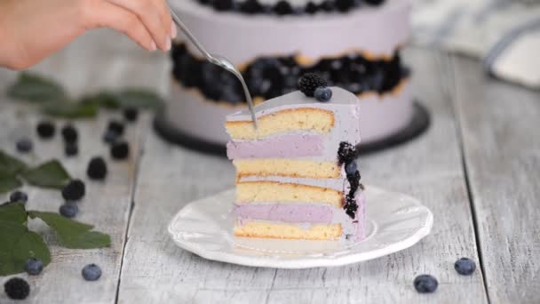 Close up of homemade cake with blueberry mousse. - Footage, Video