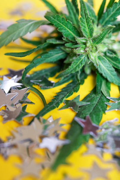 Estrellas navideñas plateadas y hojas verdes de cáñamo de cannabis salvaje yacen
 - Foto, imagen