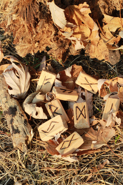 Varias runas de madera yacen cerca de la corteza de un árbol, sobre hojas amarillas, bajo el sol al atardecer
.   - Foto, Imagen