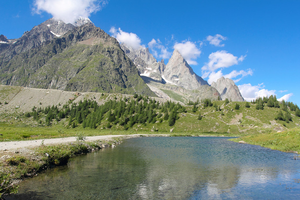 Reflection of an alpine landscape - Foto, Imagem