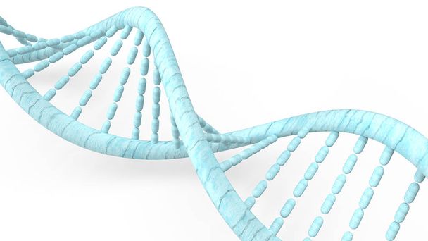 blauw DNA in witte achtergrond voor medisch concept 3D rendering. - Foto, afbeelding