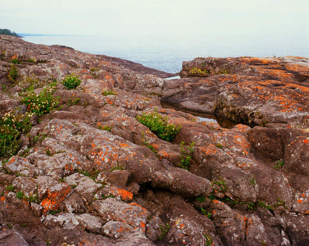 Lichen Festooned Rock Formations - Zdjęcie, obraz