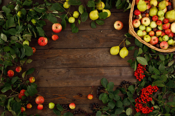 Frame of autumn fruits, apples and pears wooden background. Copy space. Harvest concept. - Photo, image