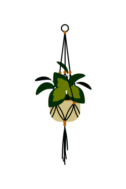 Vektorillustration einer gehängten Topfpflanze, isoliert auf weiß. Heimpflanze im Cache-Topf. Innenarchitektur-Element. - Vektor, Bild