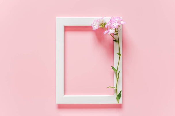 White wooden picture frame and flowers on pink background with copy space. Creative Top view Flat lay Mock up Template for invitstion, greeting card - 写真・画像