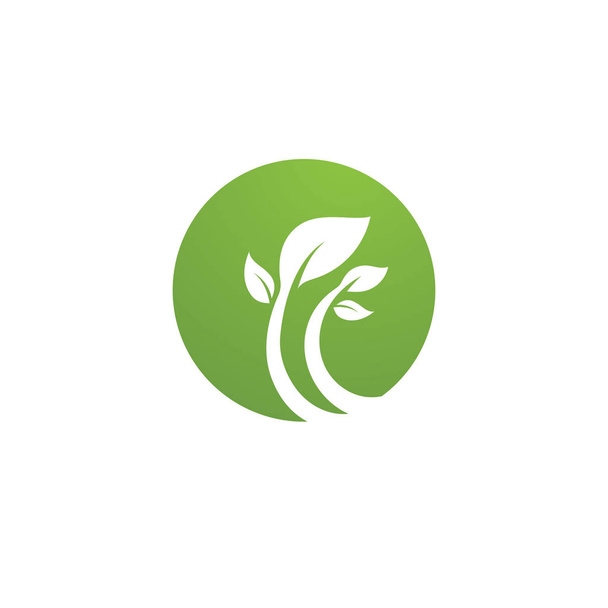 緑の葉生態系の自然要素ベクトル - ベクター画像