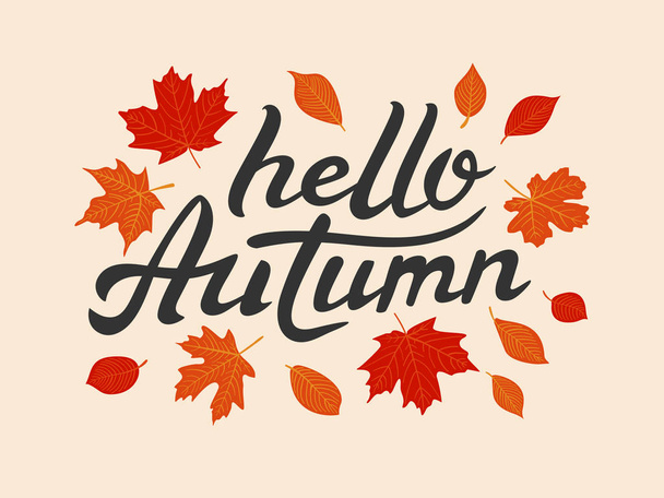 Hello Autumn vector hand drawn lettering with leaves - Vektör, Görsel